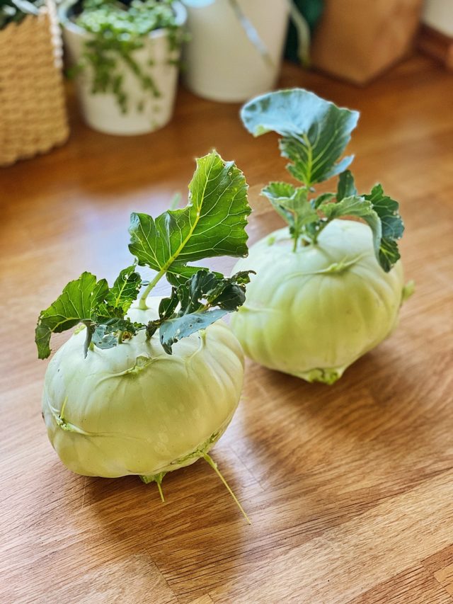 Kohlrabi Schnitzel mit Kartoffel-Gurken-Salat - Fashion Kitchen